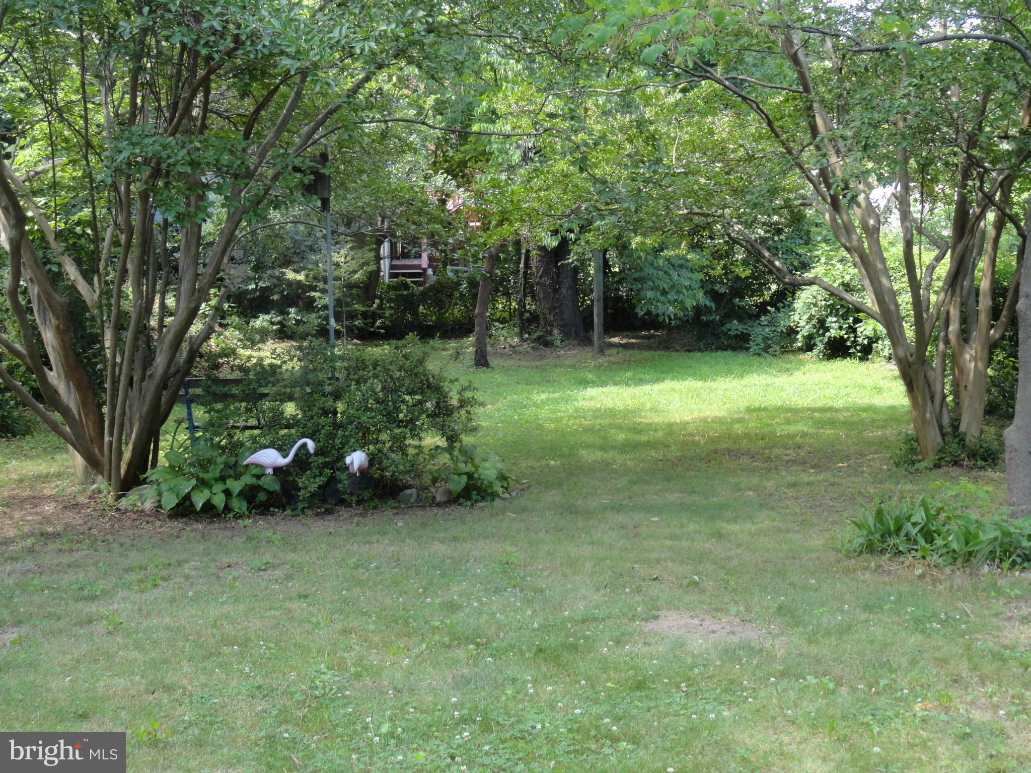 3102 Windom Road Mount Rainier, MD 20712 - Photo 26 of 30 Exterior (Rear)