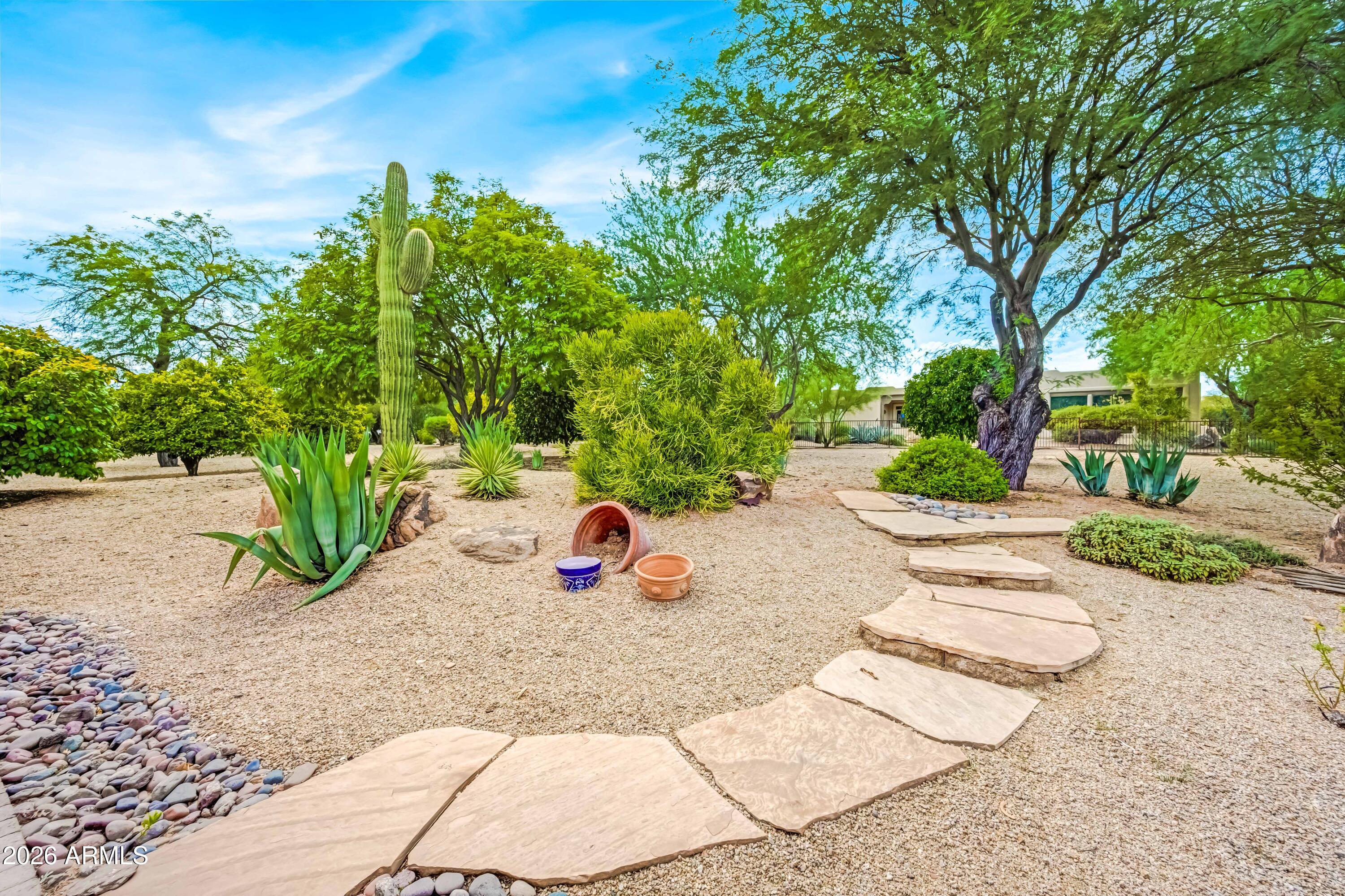 26628 North Avenida Del Ray Rio Verde, AZ 85263 - Photo 42 of 54 Back Yard