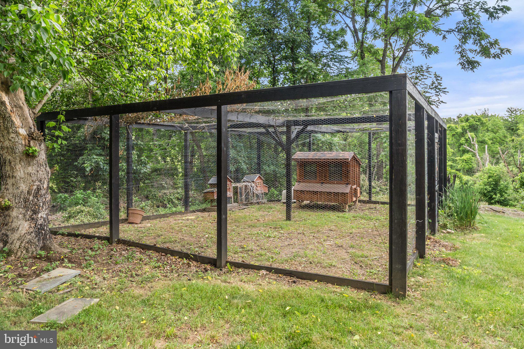 21056 Beaverdam Bridge Road Middleburg, VA 20117 - Photo 101 of 109 Luxury Style Chicken Condo Coop