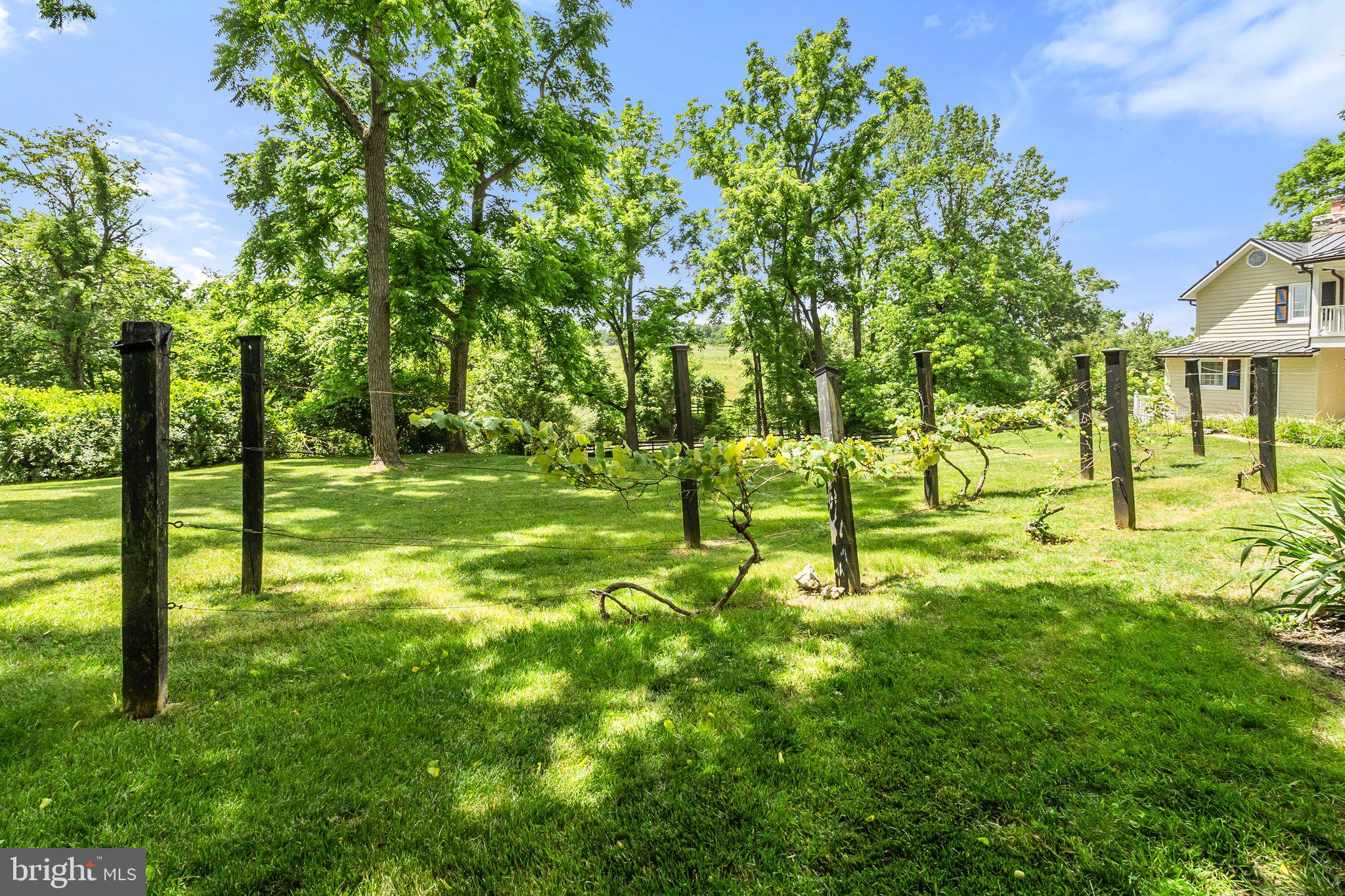 21056 Beaverdam Bridge Road Middleburg, VA 20117 - Photo 103 of 109 Garden Area