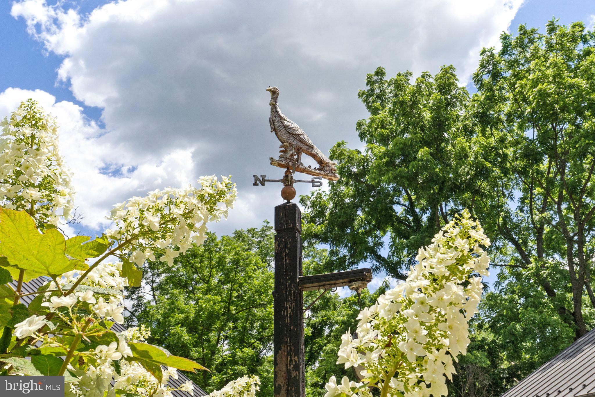 21056 Beaverdam Bridge Road Middleburg, VA 20117 - Photo 107 of 109 Turkey Roost Weather Vane