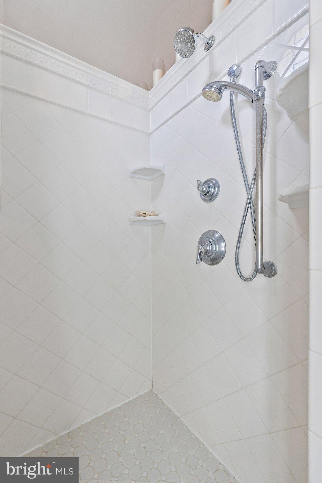 21056 Beaverdam Bridge Road Middleburg, VA 20117 - Photo 42 of 109 Owners Suite Shower