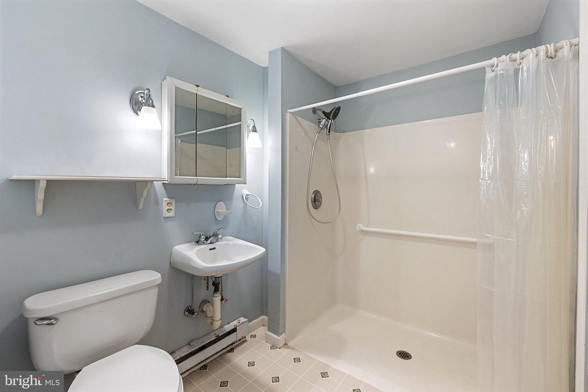 21056 Beaverdam Bridge Road Middleburg, VA 20117 - Photo 78 of 109 Bathroom 4 with Large Walk In Shower