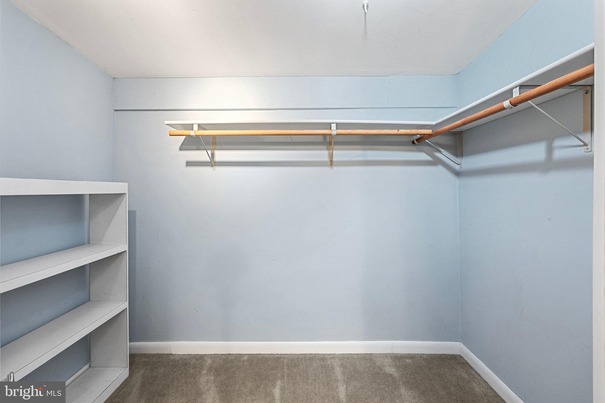 21056 Beaverdam Bridge Road Middleburg, VA 20117 - Photo 80 of 109 Walk-In Closet - Access from Bathroom
