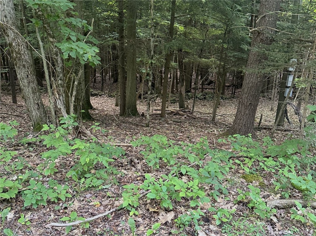 Deer Path Stamford, NY 12167 - Photo 2 of 7