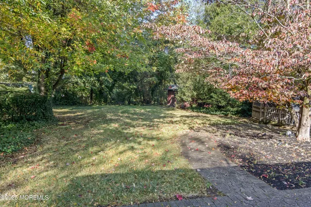 a view of outdoor space with trees all around