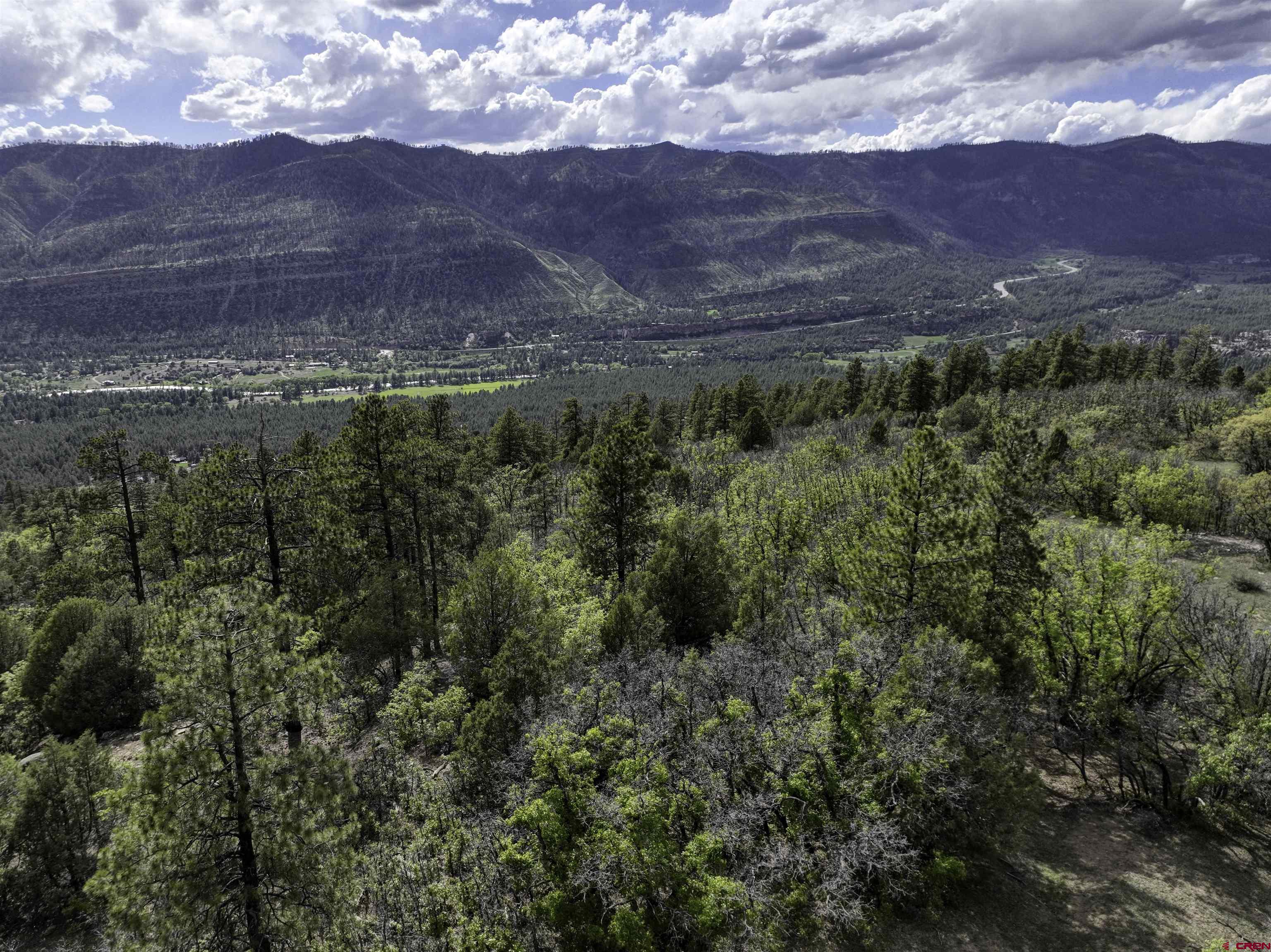 3158 Elkhorn Mountain Road Durango, CO 81301 - Photo 3 of 12 Gallery Image 3