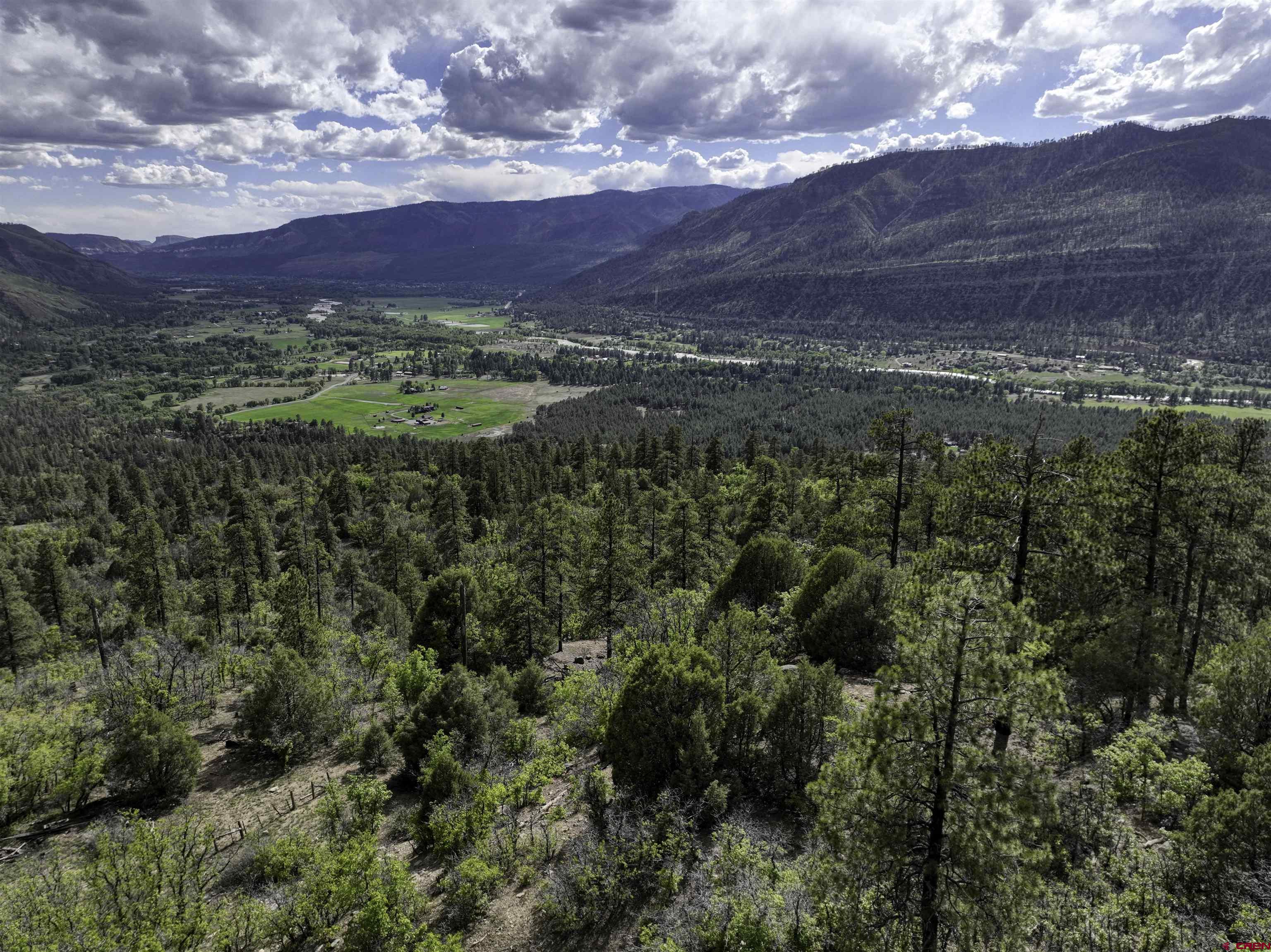 3158 Elkhorn Mountain Road Durango, CO 81301 - Photo 4 of 12 Gallery Image 4