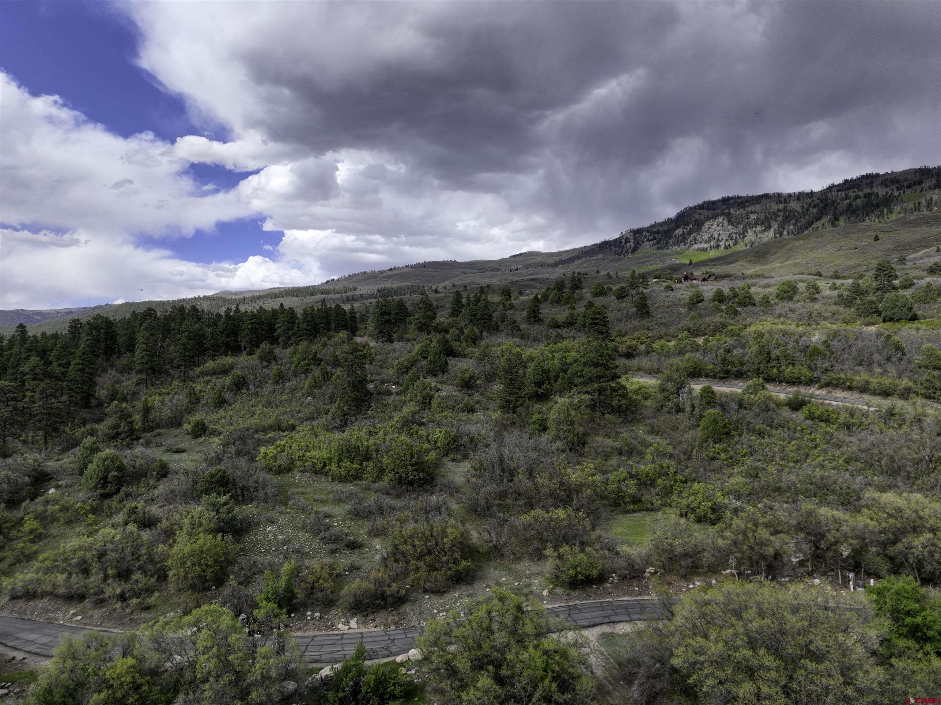 3158 Elkhorn Mountain Road Durango, CO 81301 - Photo 5 of 12 Gallery Image 5