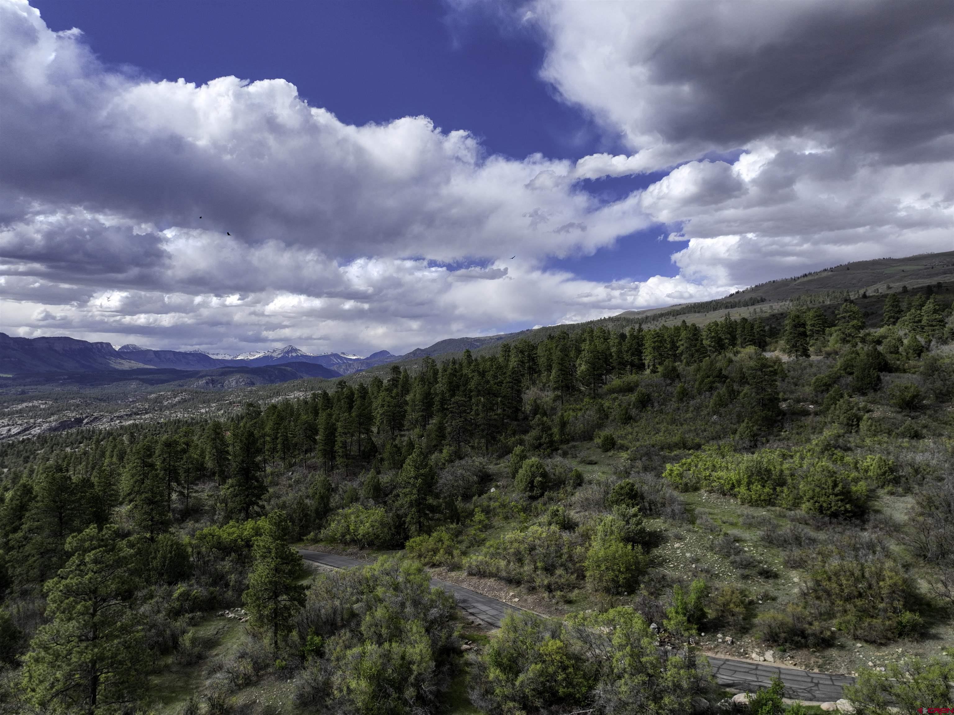 3158 Elkhorn Mountain Road Durango, CO 81301 - Photo 6 of 12 Gallery Image 6