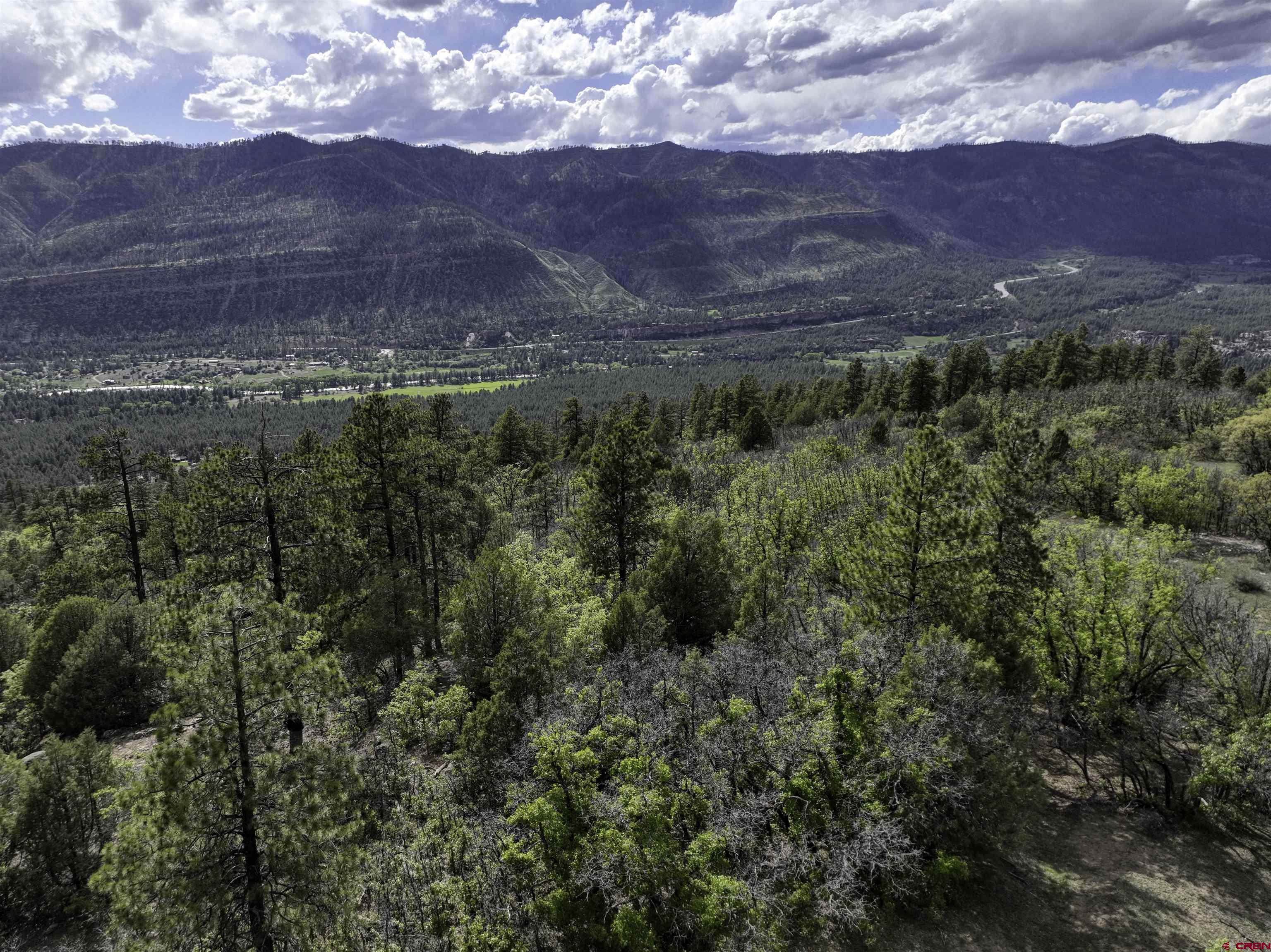 3158 Elkhorn Mountain Road Durango, CO 81301 - Photo 7 of 12 Gallery Image 7