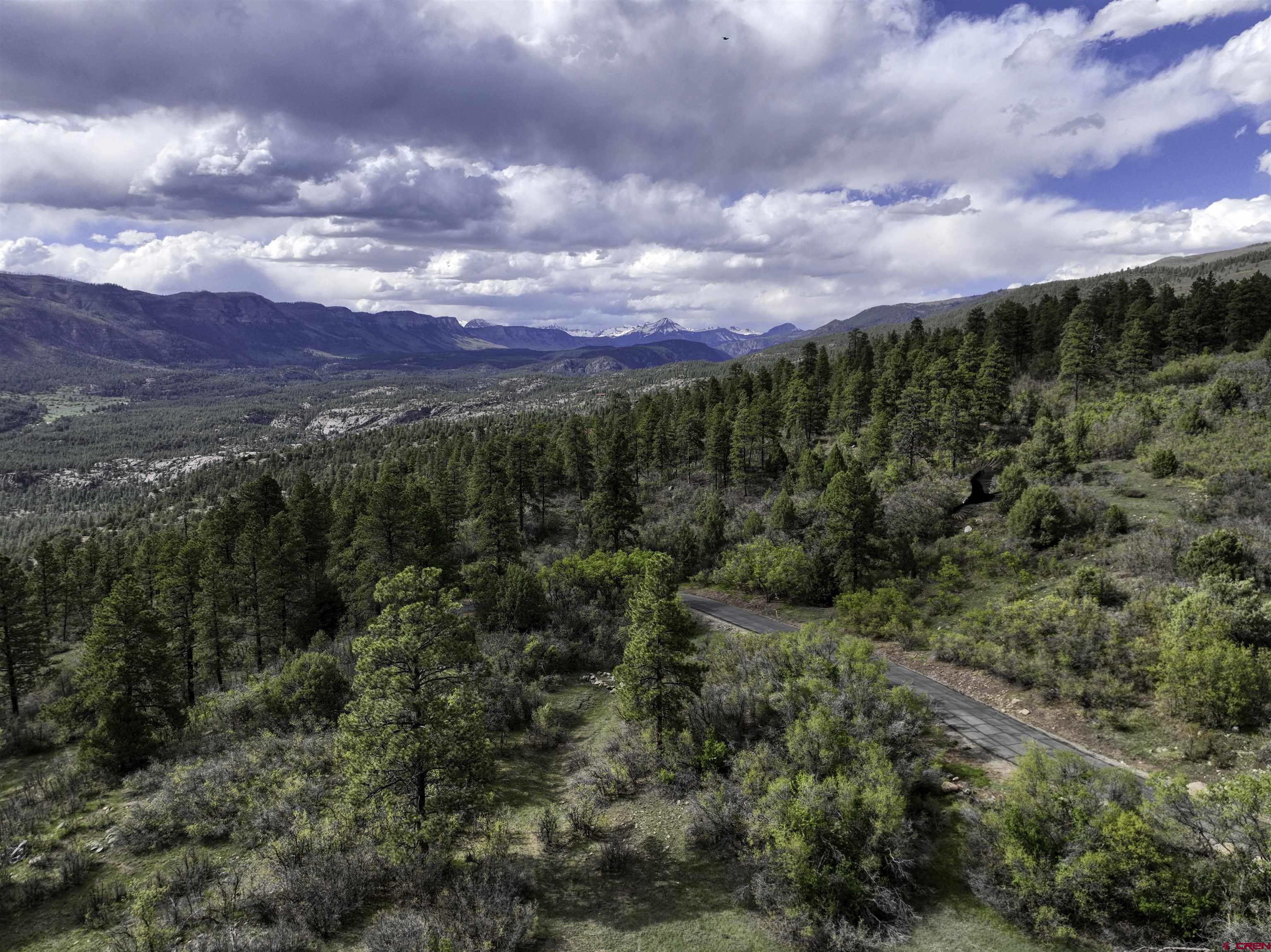 3158 Elkhorn Mountain Road Durango, CO 81301 - Photo 8 of 12 Gallery Image 8