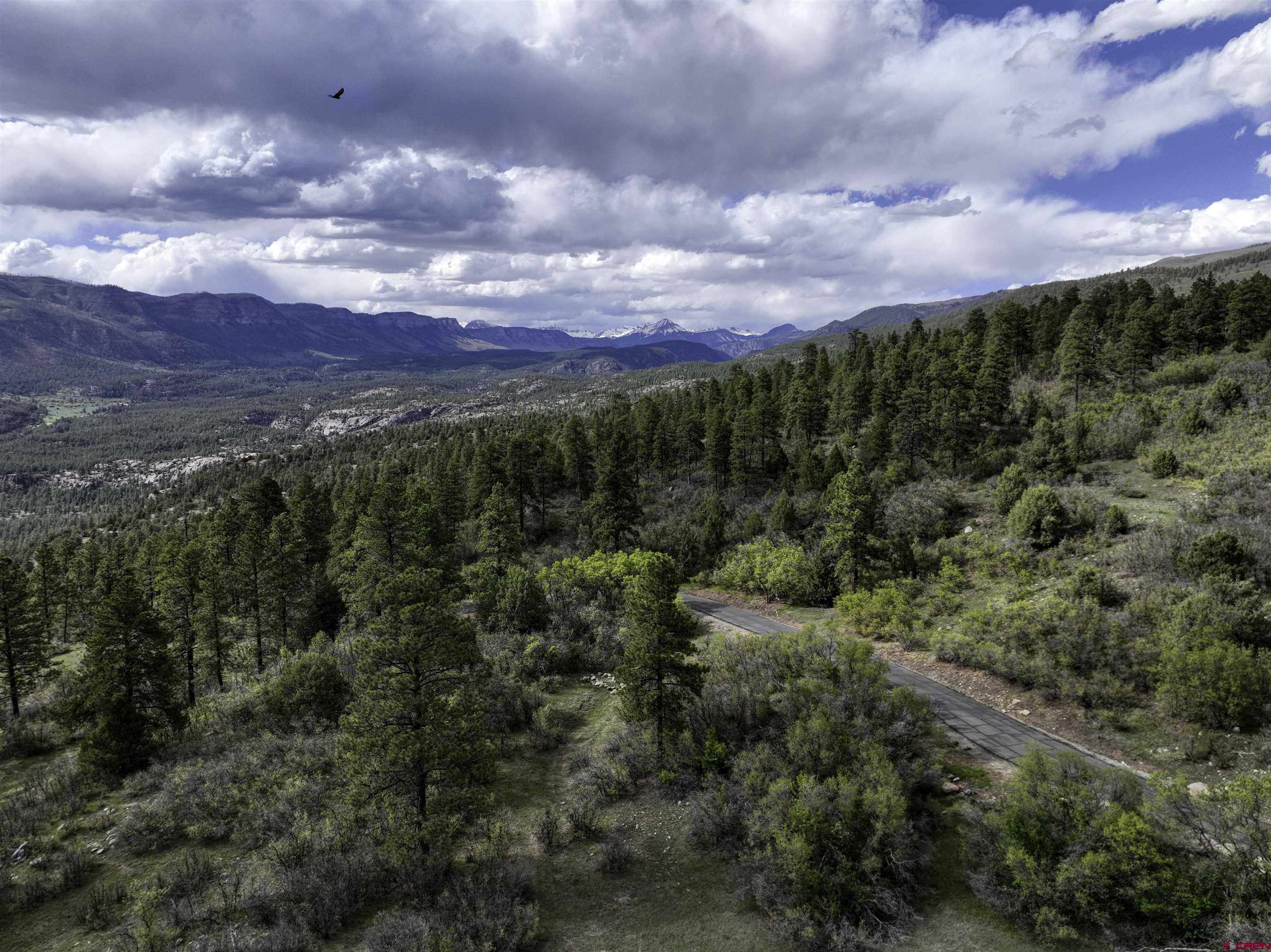 3158 Elkhorn Mountain Road Durango, CO 81301 - Photo 9 of 12 Gallery Image 9