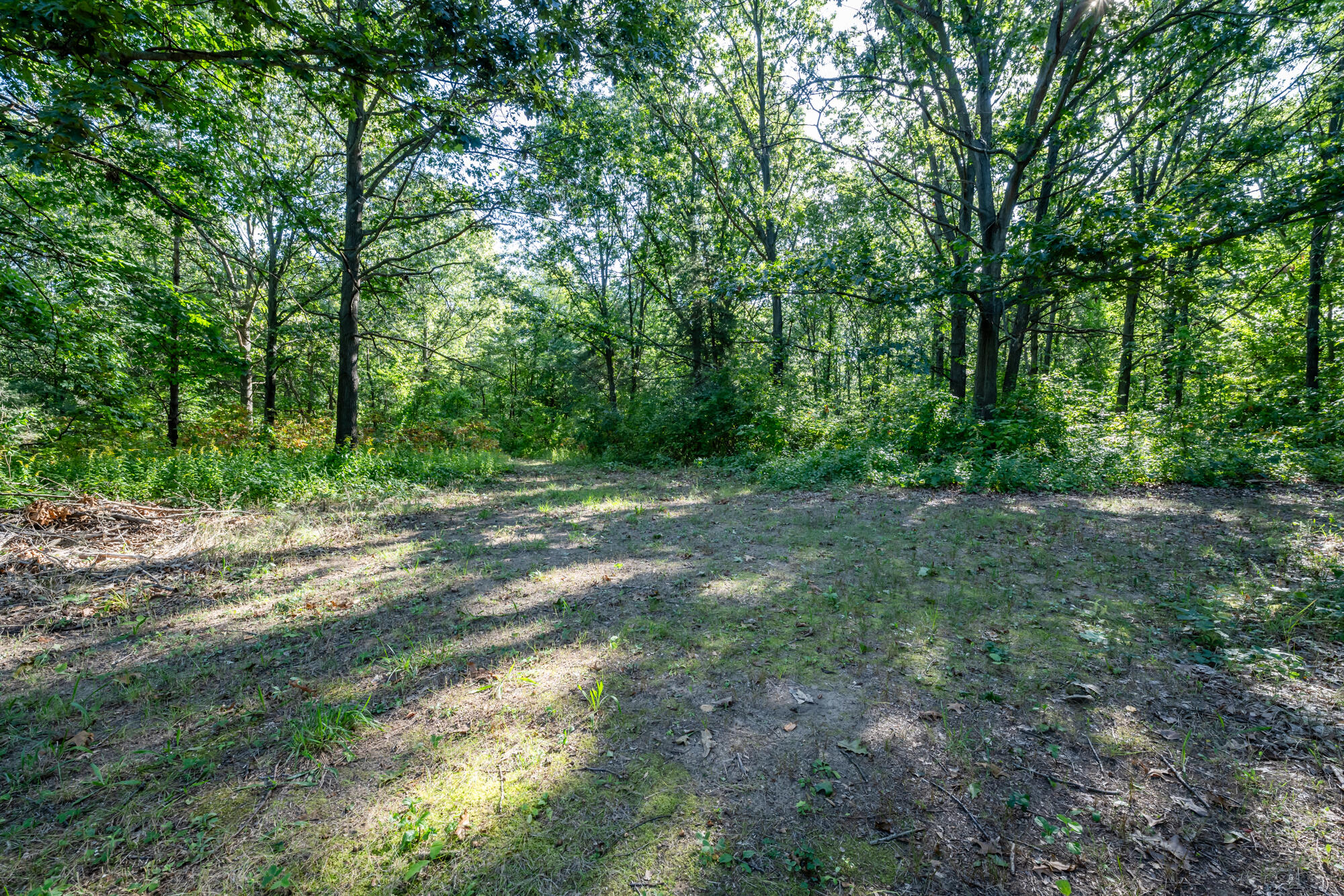 13081 California Road Sawyer, MI 49125 - Photo 23 of 31 California-127