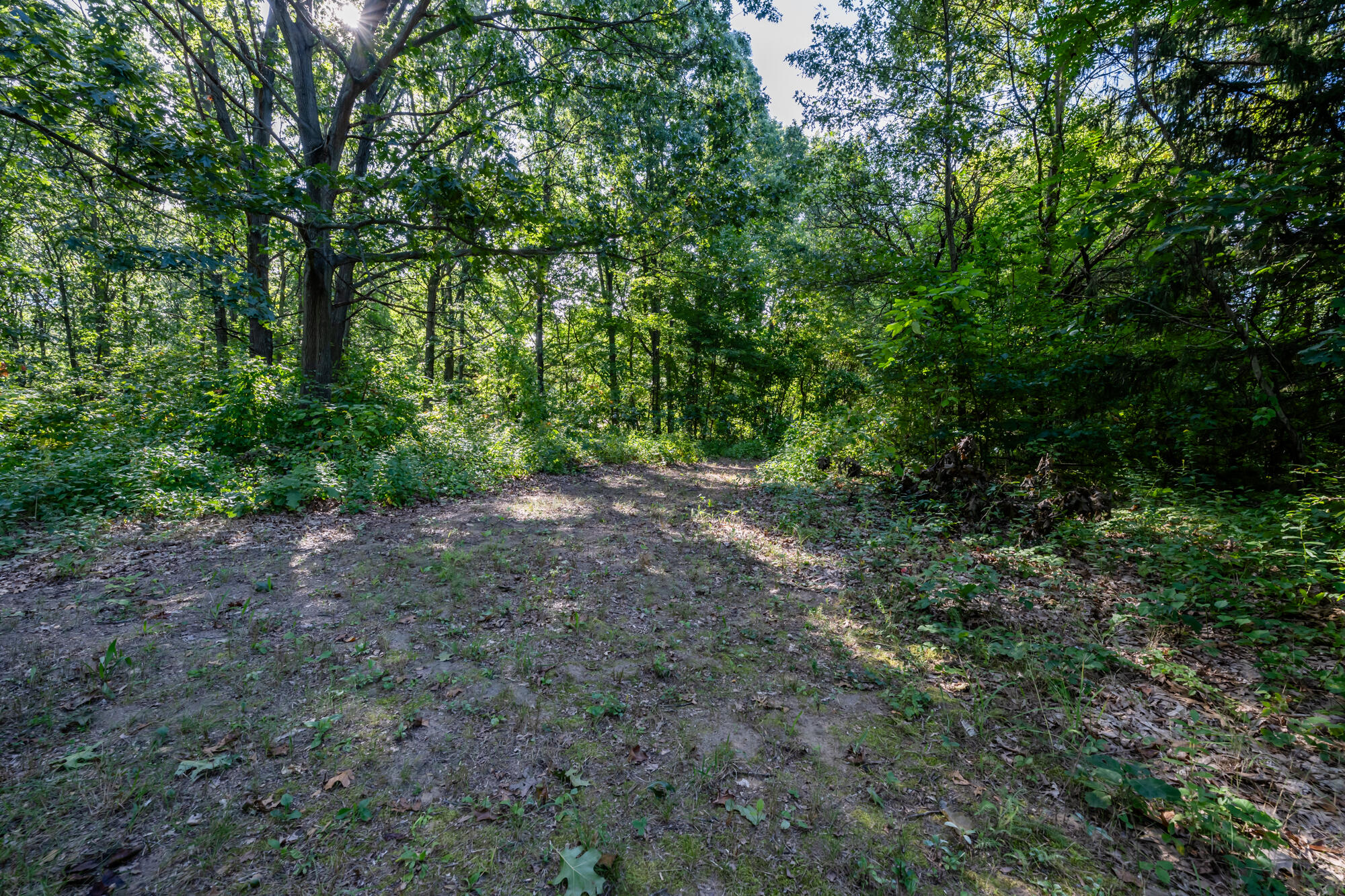 13081 California Road Sawyer, MI 49125 - Photo 24 of 31 California-128