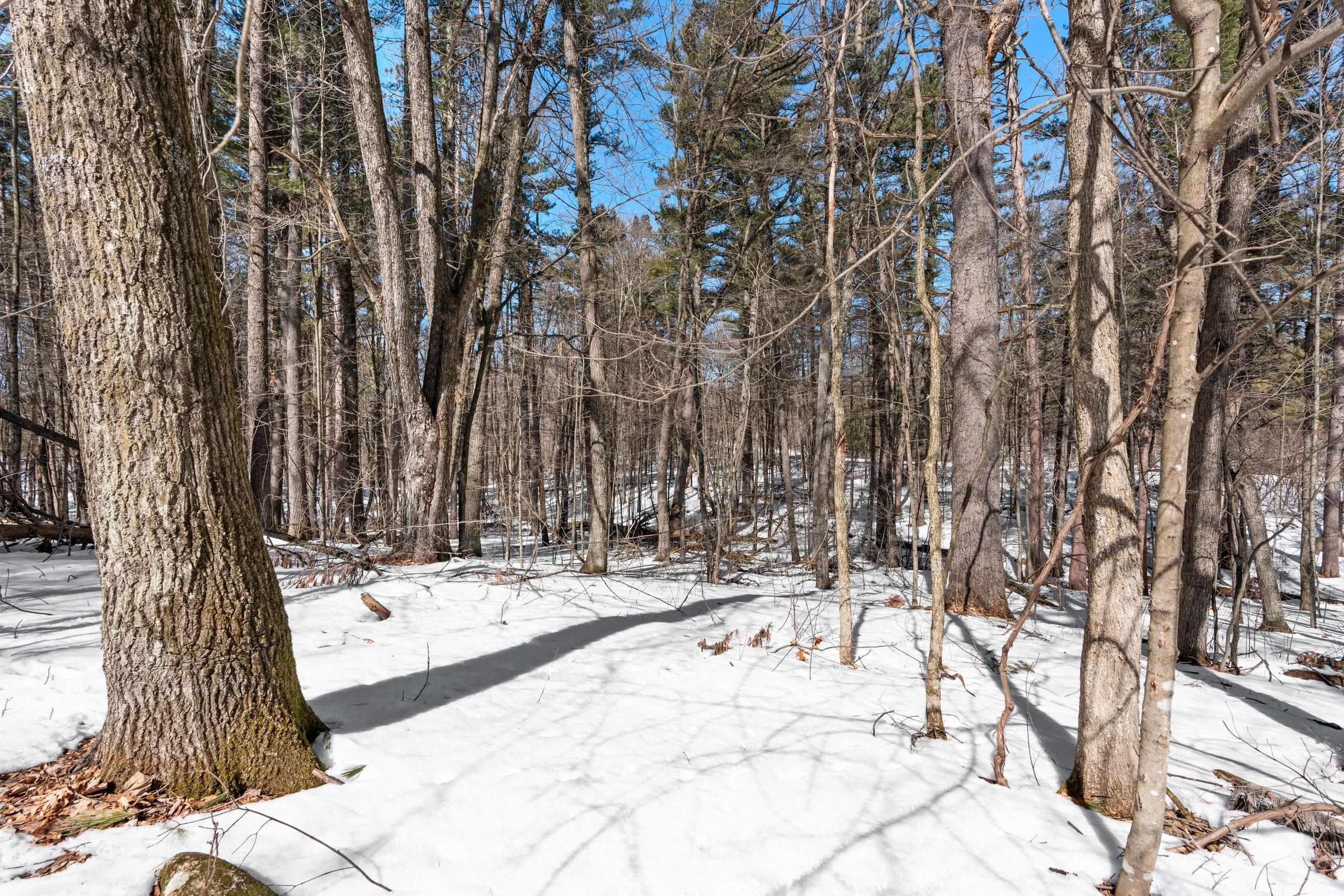 N975 Old S Branch Road Keshena, WI 54135 - Photo 30 of 44