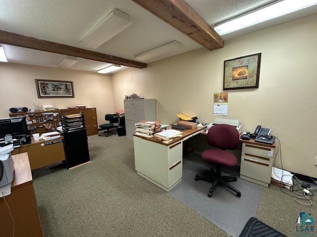 301 Chestnut Street Virginia, MN 55792 - Photo 12 of 31 Office featuring carpet and beam ceiling