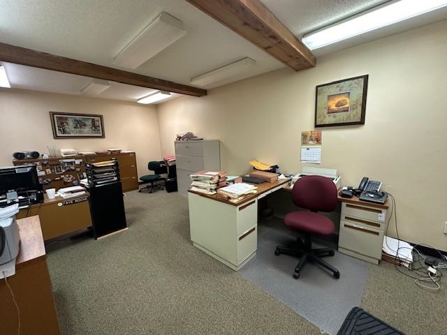 301 Chestnut Street Virginia, MN 55792 - Photo 12 of 31 Office featuring carpet and beam ceiling