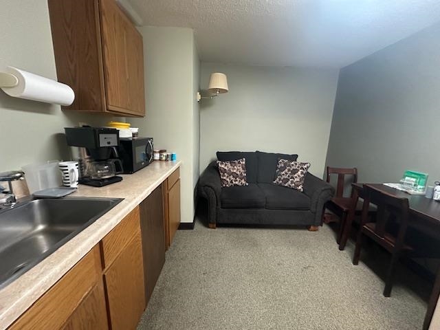 301 Chestnut Street Virginia, MN 55792 - Photo 14 of 31 Kitchen with brown cabinets, light colored carpet, light countertops, a textured ceiling, and black microwave