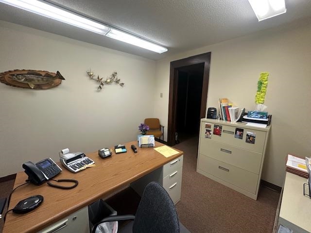 301 Chestnut Street Virginia, MN 55792 - Photo 19 of 31 Home office featuring dark carpet and a textured ceiling