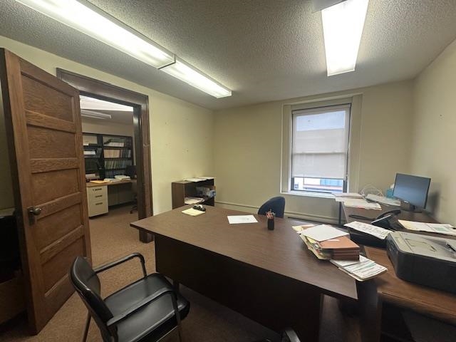 301 Chestnut Street Virginia, MN 55792 - Photo 21 of 31