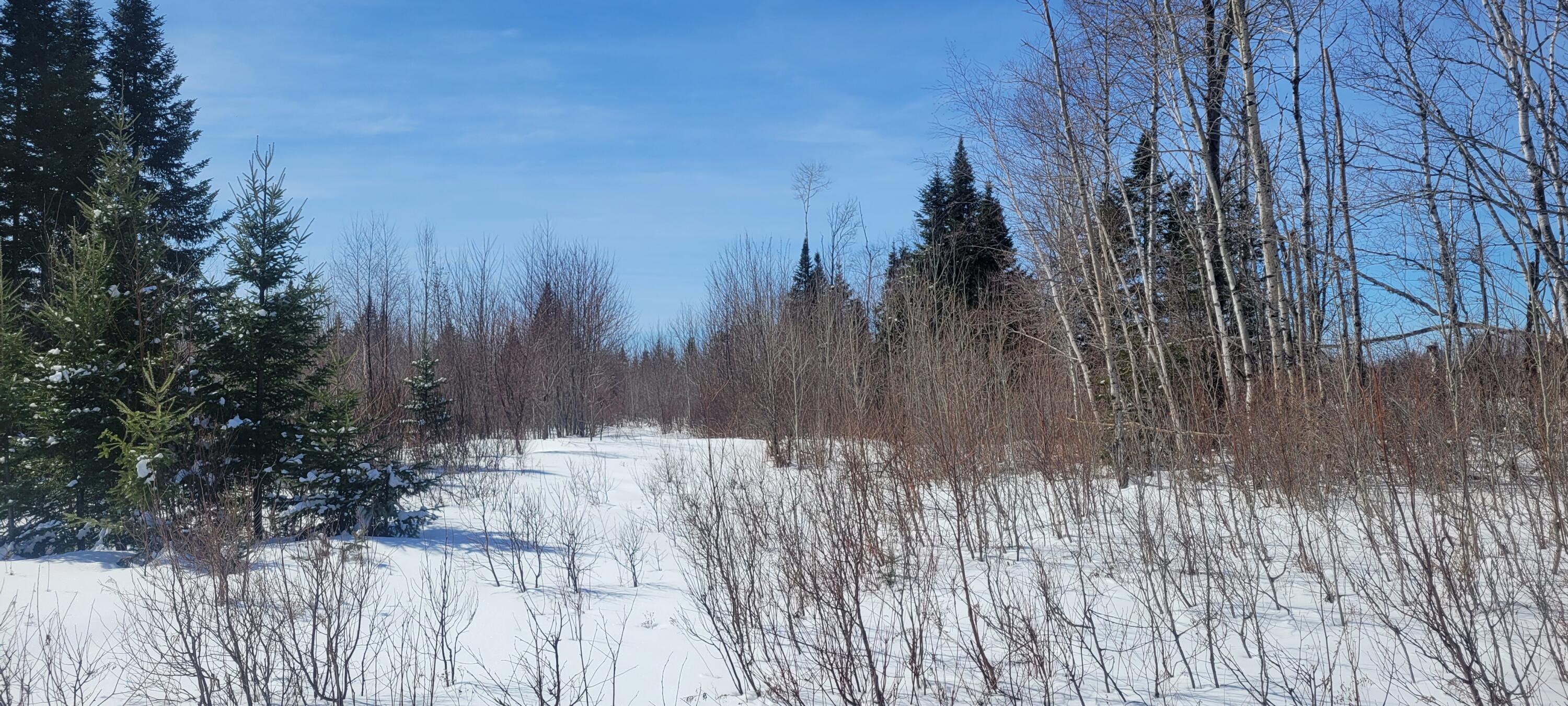 57 A Lavertu Road St. David, ME 04773 - Photo 16 of 16 20240325_131854