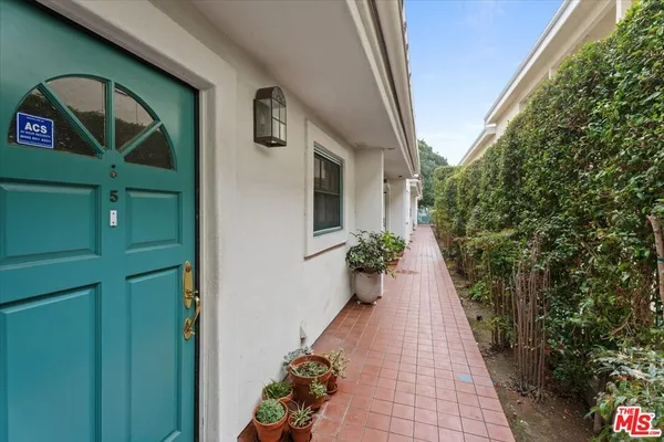a potted plant in front of a door