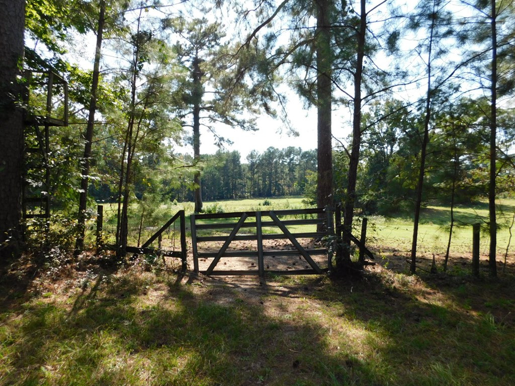 1884 Ridge Road Thomson, GA 30824 - Photo 22 of 26
