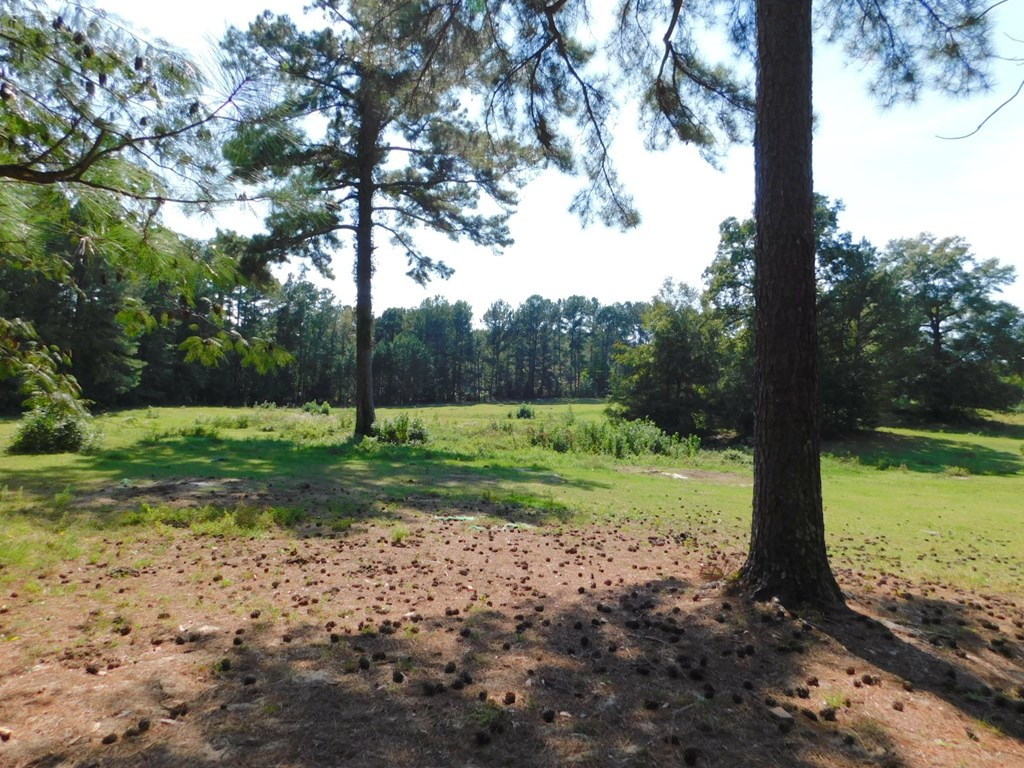 1884 Ridge Road Thomson, GA 30824 - Photo 23 of 26
