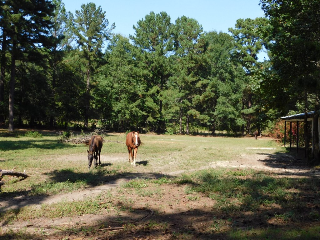 1884 Ridge Road Thomson, GA 30824 - Photo 25 of 26