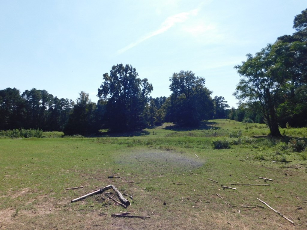 1884 Ridge Road Thomson, GA 30824 - Photo 26 of 26