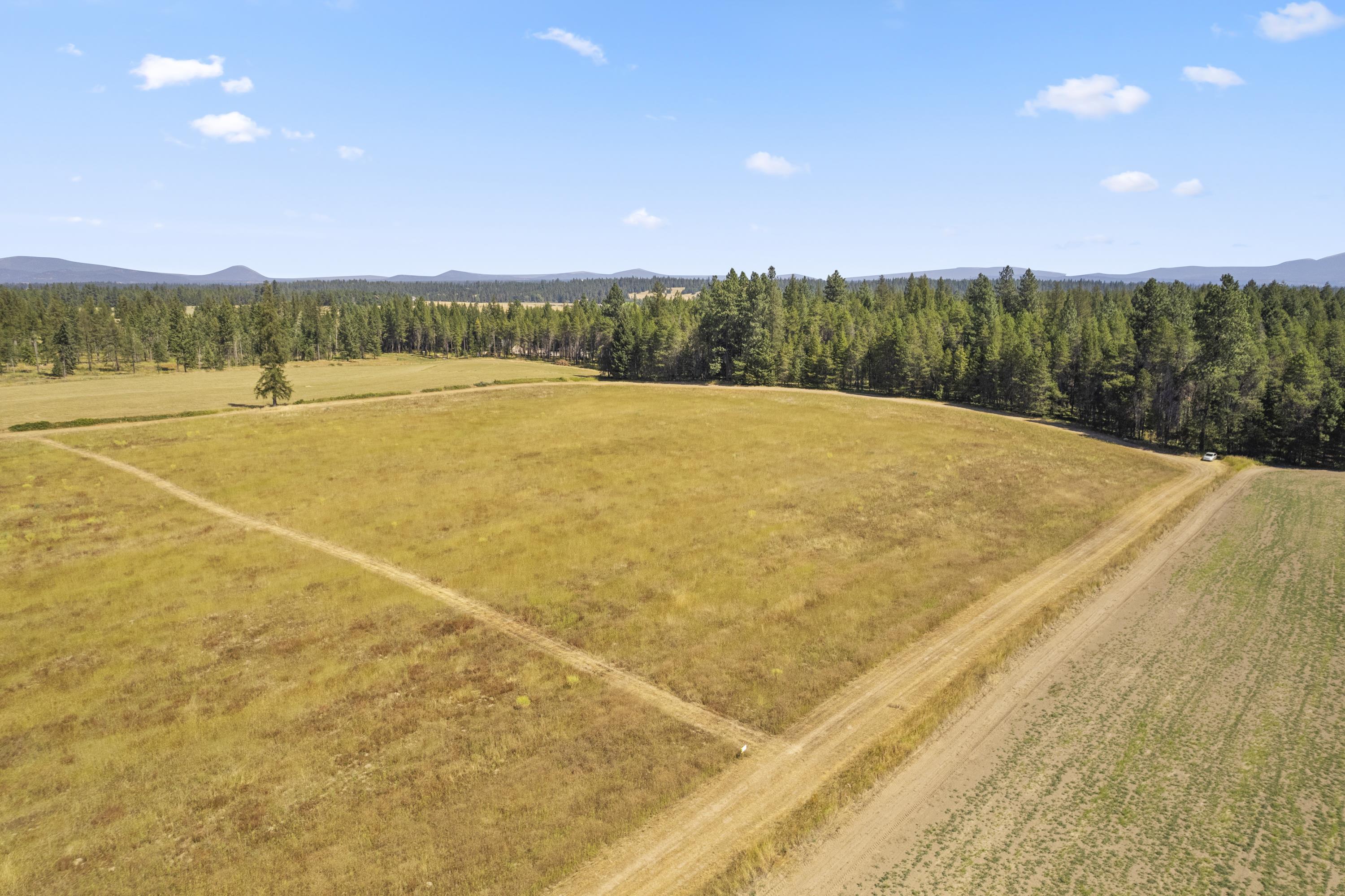 28526 North Spotted Road Deer Park, WA 99006 - Photo 27 of 30 Gallery Image 27