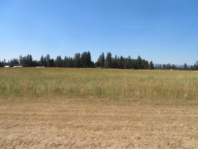 28526 North Spotted Road Deer Park, WA 99006 - Photo 3 of 30 Gallery Image 3