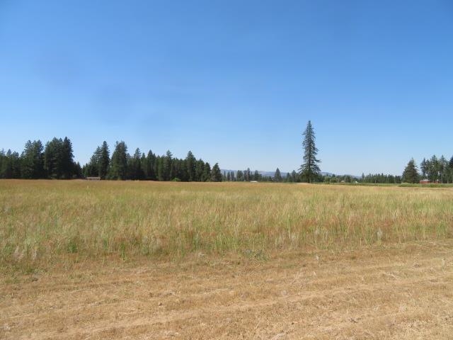 28526 North Spotted Road Deer Park, WA 99006 - Photo 5 of 30 Gallery Image 5
