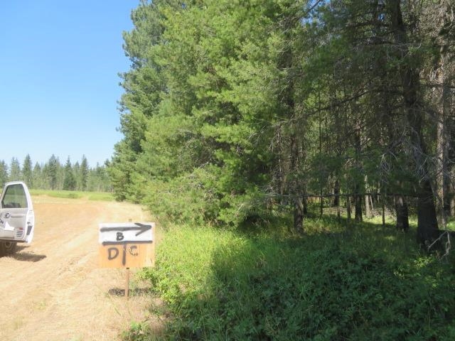 28526 North Spotted Road Deer Park, WA 99006 - Photo 10 of 30 Gallery Image 10