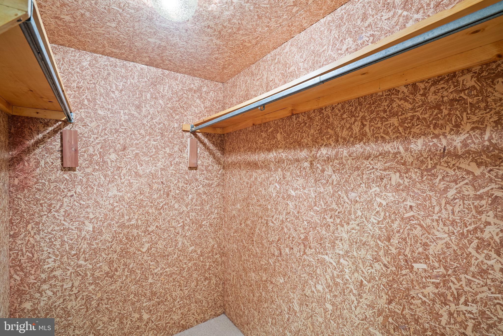 587 Foxcroft Road Warrenton, VA 20186 - Photo 33 of 38 Cedar closet