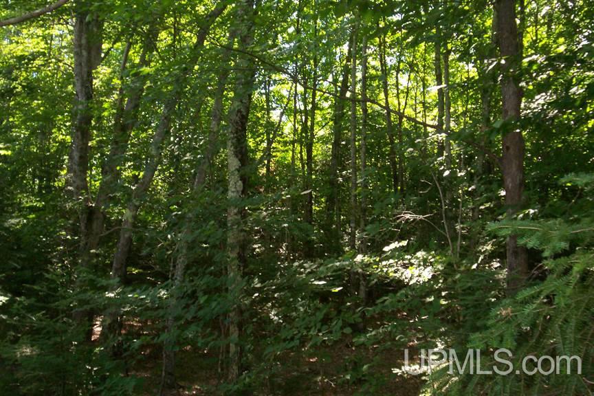 5744 North Co Road Manistique, MI 49854 - Photo 9 of 17