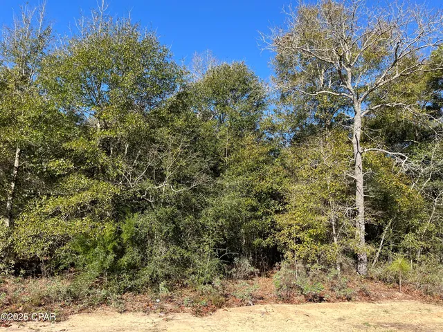 $13,900 | Lot 5 Viking Drive, Chipley, FL 32428