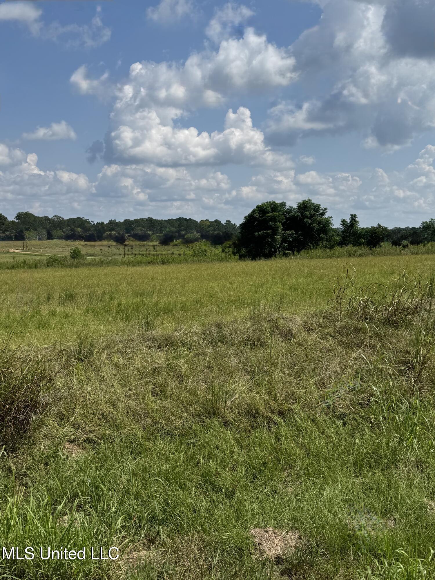 C5 Ms-16 Benton, MS 39039 - Photo 3 of 7 IMG_8895