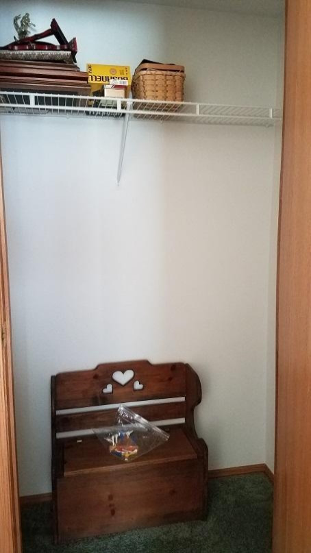 63638 Calvin Center Road Cassopolis, MI 49031 - Photo 19 of 49 Hall Closet