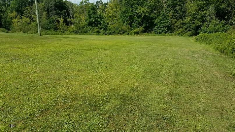 63638 Calvin Center Road Cassopolis, MI 49031 - Photo 43 of 49 NW Corner, Yard
