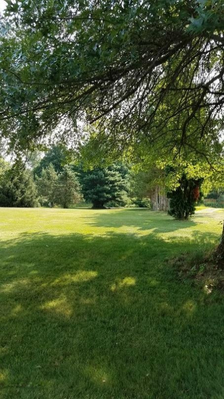 63638 Calvin Center Road Cassopolis, MI 49031 - Photo 46 of 49 SE Lot Corner