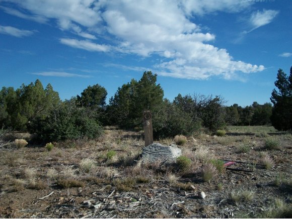 14415 North Sandia Lane Prescott, AZ 86305 - Photo 1 of 1 Primary Photo