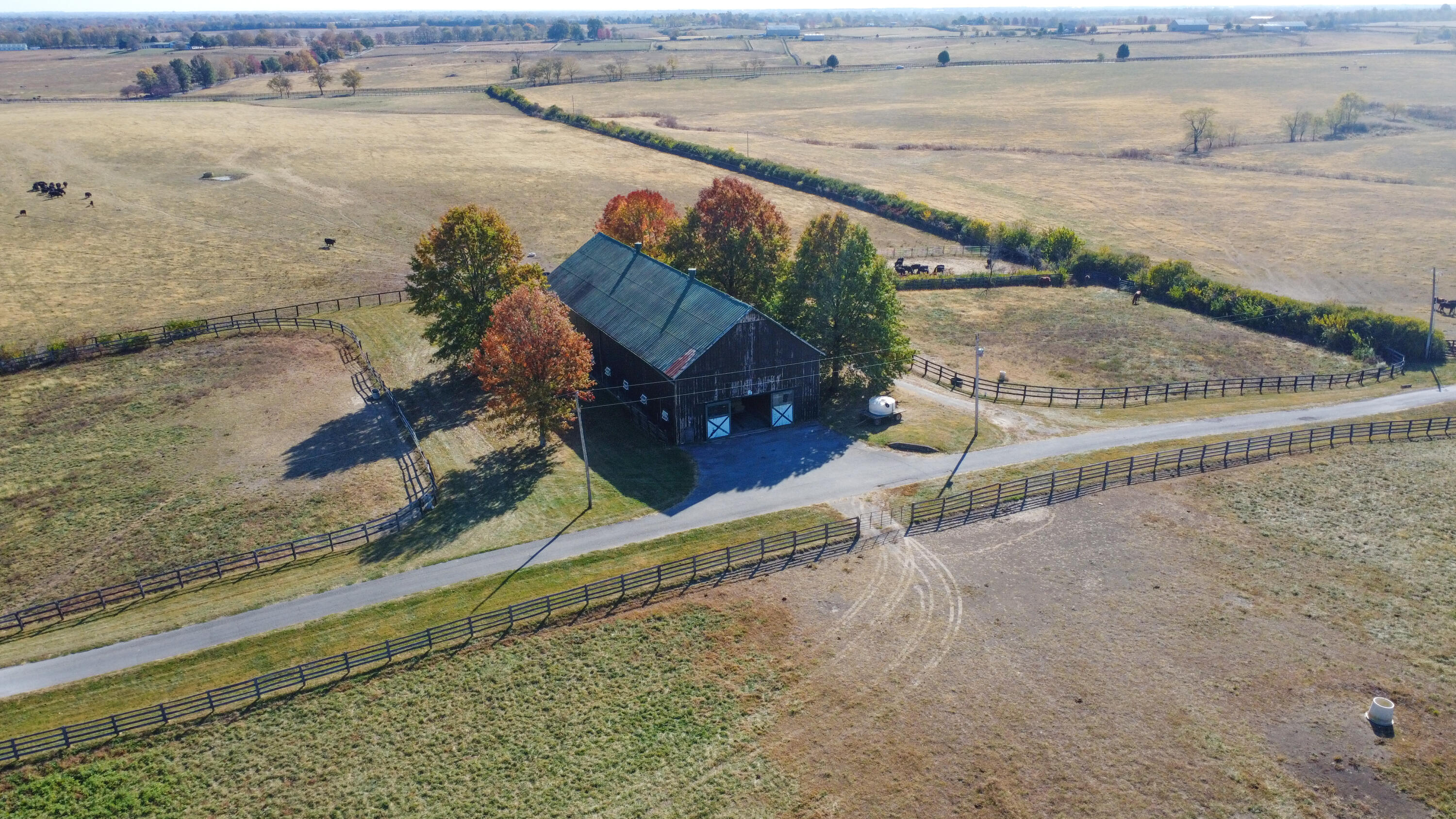 491 Elizabeth Station Road Paris, KY 40361 - Photo 9 of 20 BlackBarn