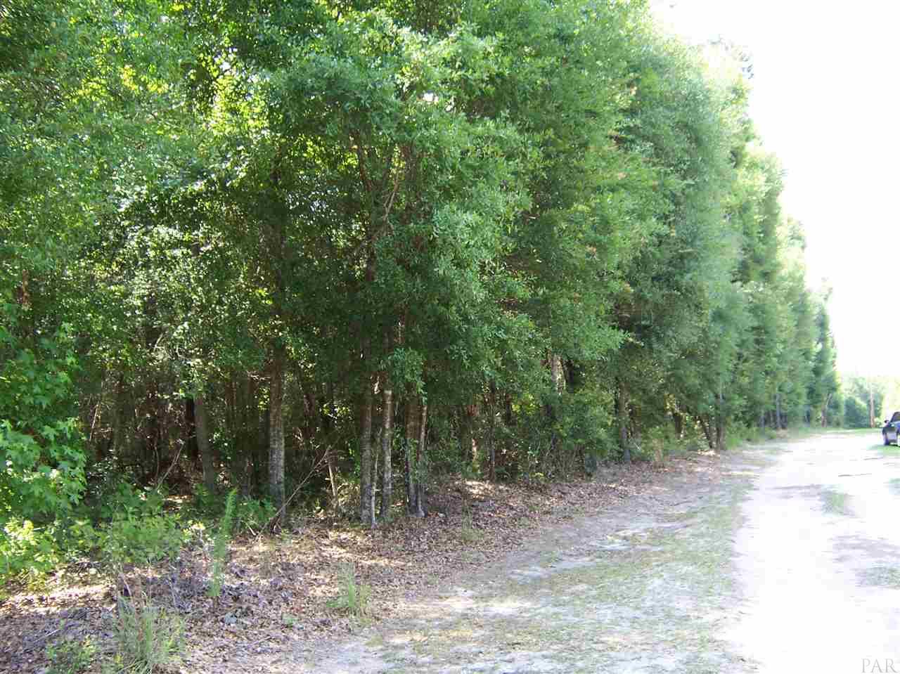 410 Brown Road McDavid, FL 32568 - Photo 3 of 5 Gallery Image 3