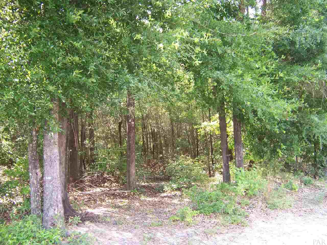 410 Brown Road McDavid, FL 32568 - Photo 4 of 5 Gallery Image 4