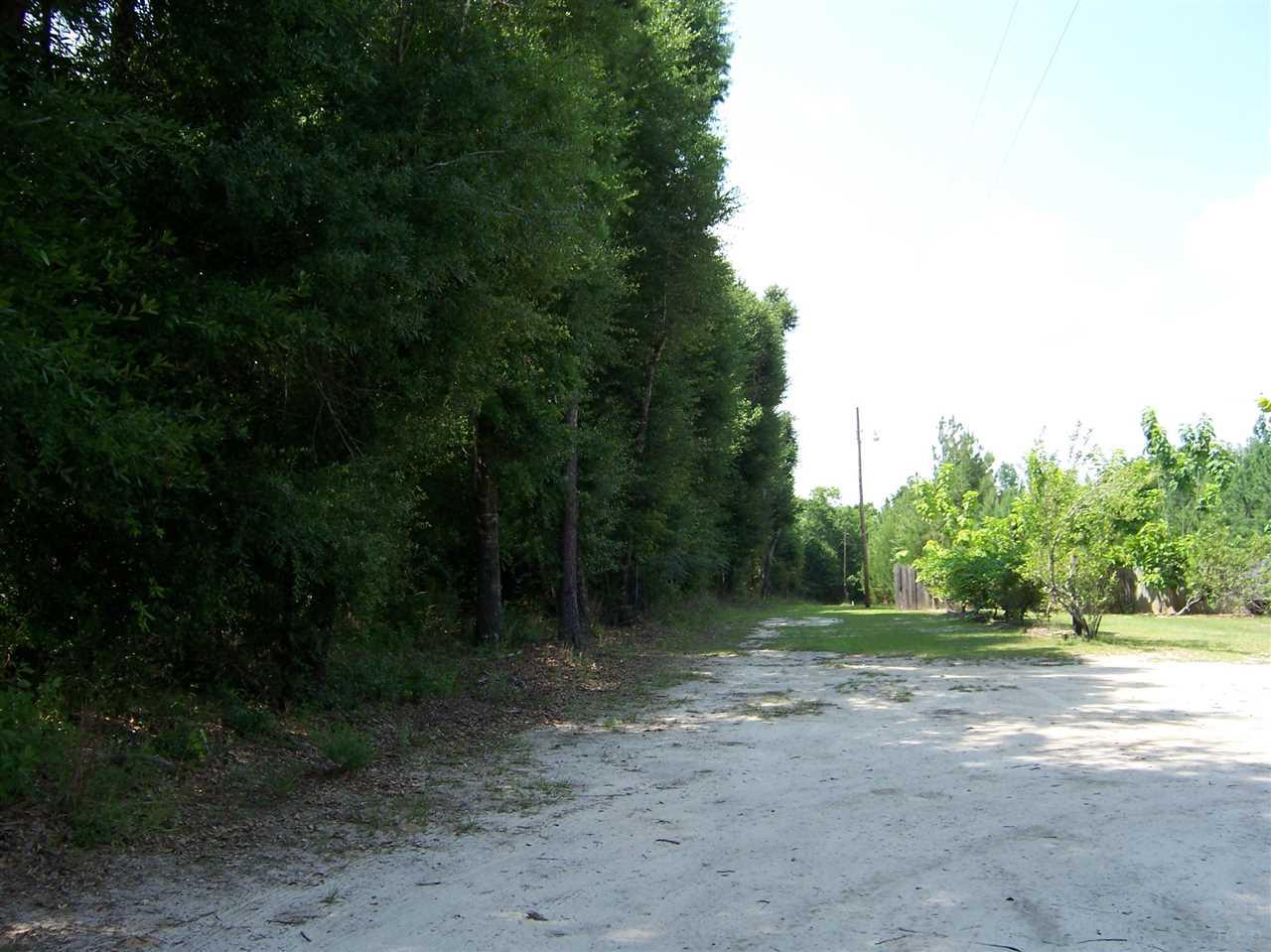 410 Brown Road McDavid, FL 32568 - Photo 5 of 5 Gallery Image 5