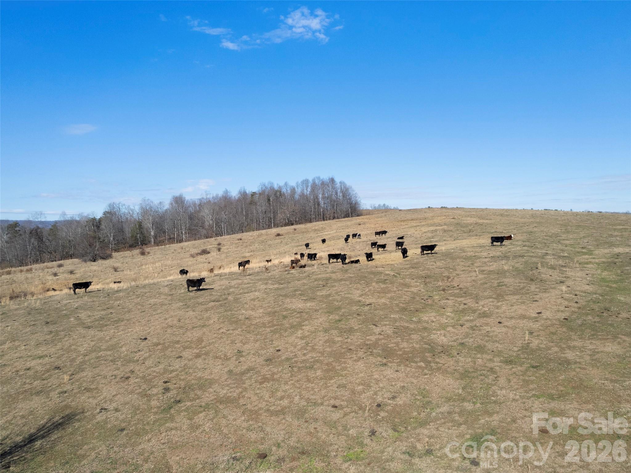 9999 Walker Road Nebo, NC 28761 - Photo 22 of 23