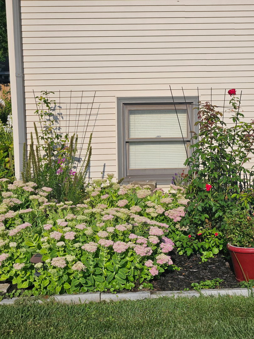 316 South 4000 West Road Kankakee, IL 60901 - Photo 26 of 29 a flower garden in front of a house