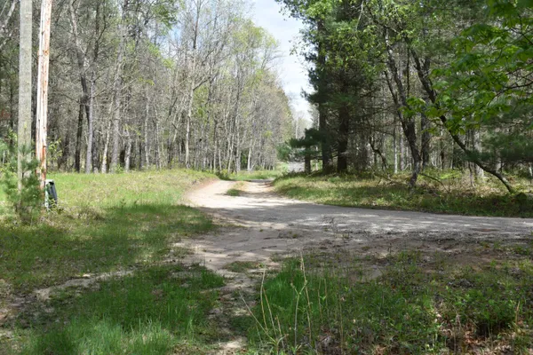 $290,000 | 0 South Ever Blooming Drive, Baldwin, MI 49304